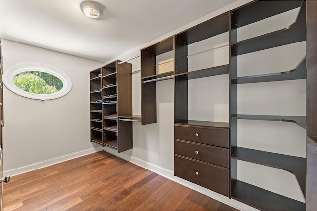 spacious closet featuring wood finished floors