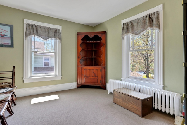 sitting room featuring radiator heating unit and carpet