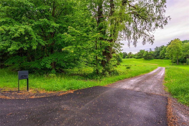 474 Rte 199, Red Hook, NY 12571 - view of road