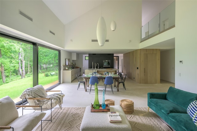474 Rte 199, Red Hook, NY 12571 - living room featuring high vaulted ceiling and light colored carpet