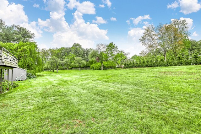 12 Jay Ct, Monsey, NY 10952 - view of green lawn featuring view of wooded area