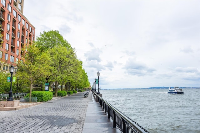 dock area with a water view