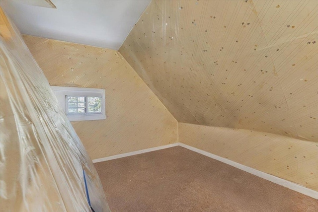 additional living space with carpet flooring and vaulted ceiling