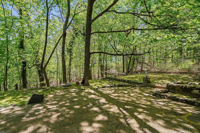 65 Preston St, Huntington, NY 11743 - view of yard with a wooded view