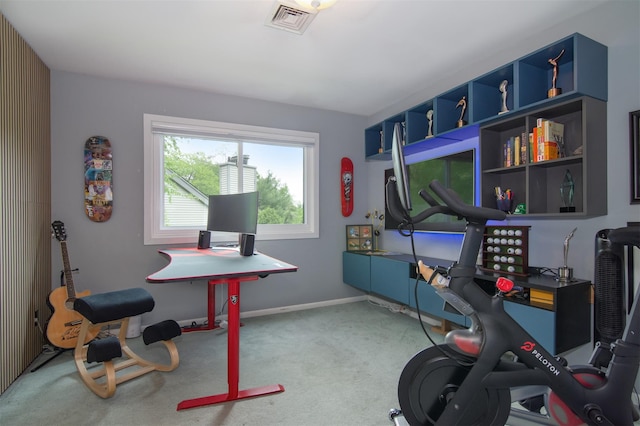 201 Hunters Run, Dobbs Ferry, NY 10522 - home office with carpet floors and baseboards