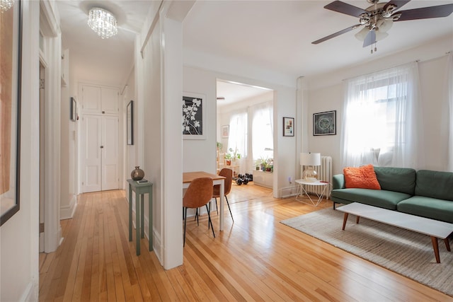 living area with radiator heating unit, a wealth of natural light, and light wood-style flooring