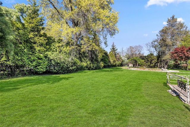 view of yard