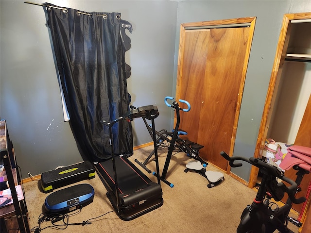 exercise area featuring carpet