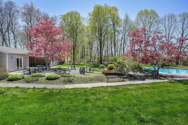 view of community with a patio, a lawn, and a pool