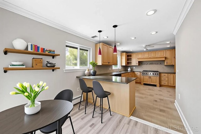 4 Ficus St, Port Jefferson Station, NY 11776 - kitchen featuring open shelves, stainless steel gas cooktop, a baseboard heating unit, a sink, and crown molding