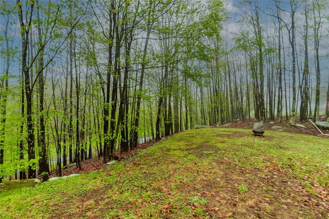 view of yard with a view of trees