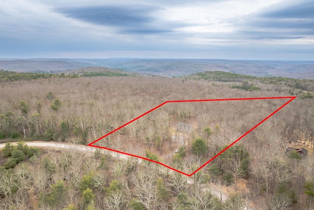 83 Split Rock Dr, Barryville, NY 12719 - aerial view with a wooded view