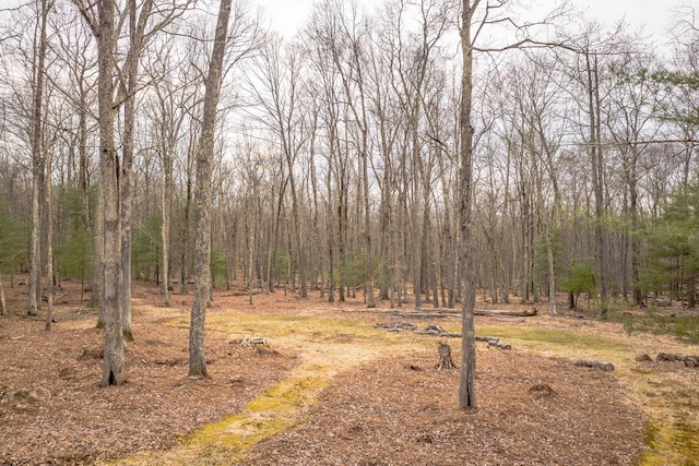 83 Split Rock Dr, Barryville, NY 12719 - view of yard featuring a wooded view