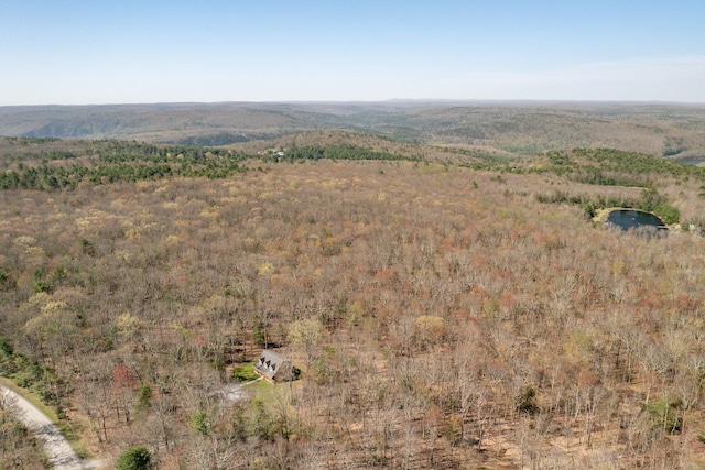83 Split Rock Dr, Barryville, NY 12719 - drone / aerial view with a view of trees