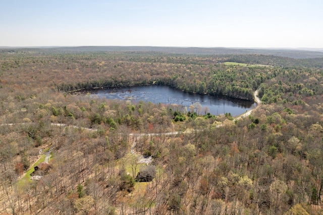 83 Split Rock Dr, Barryville, NY 12719 - bird's eye view with a forest view and a water view