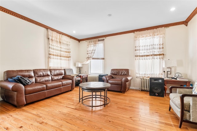 142 Primrose Ave, Mount Vernon, NY 10552 - living room with crown molding, plenty of natural light, light wood-style flooring, and radiator
