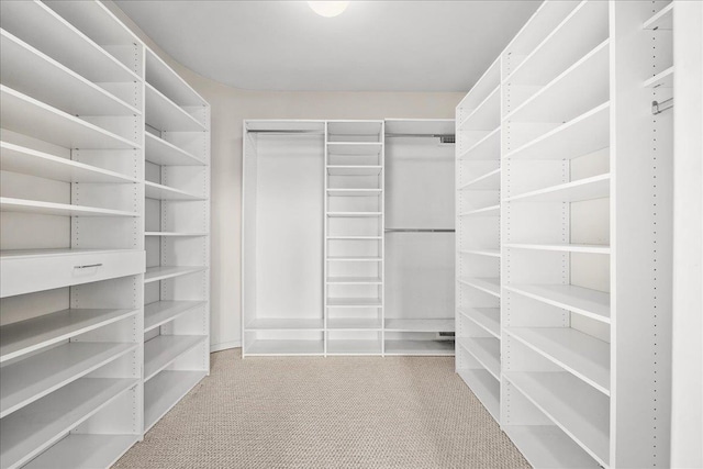 walk in closet featuring carpet floors