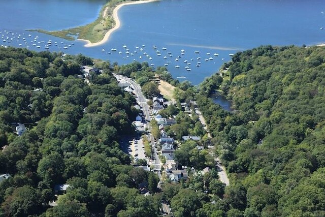 381 W Neck Rd, Lloyd Harbor, NY 11743 - drone / aerial view with a view of trees and a water view