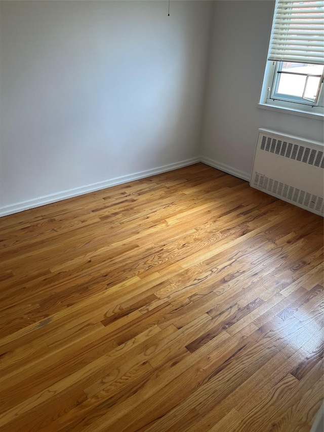 224-17 Manor Rd Lower, Lower, Queens Village, NY 11427 - photo 3