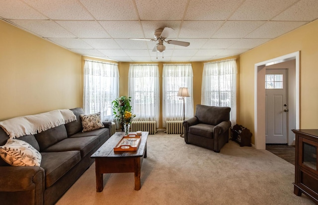 carpeted living room with radiator, ceiling fan, and a paneled ceiling
