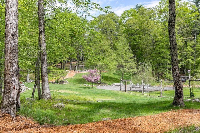 43 Bee Tree Ln, Accord, NY 12404 - view of property's community with a yard