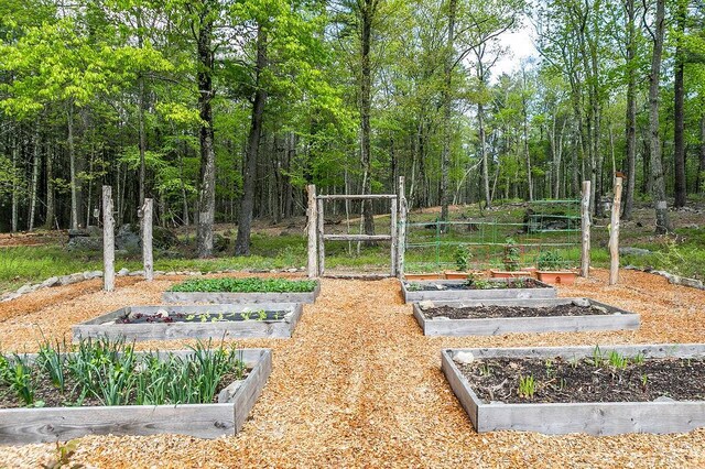 43 Bee Tree Ln, Accord, NY 12404 - view of yard featuring a vegetable garden