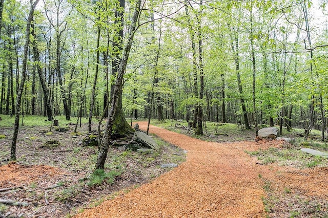 43 Bee Tree Ln, Accord, NY 12404 - view of yard featuring a wooded view