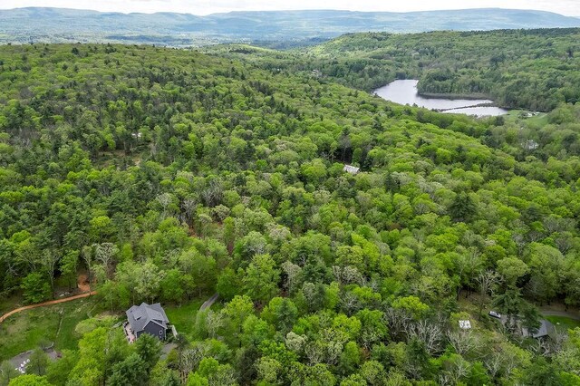 43 Bee Tree Ln, Accord, NY 12404 - bird's eye view of a forest and a nearby body of water