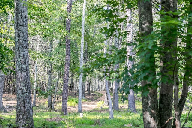 43 Bee Tree Ln, Accord, NY 12404 - view of wooded area