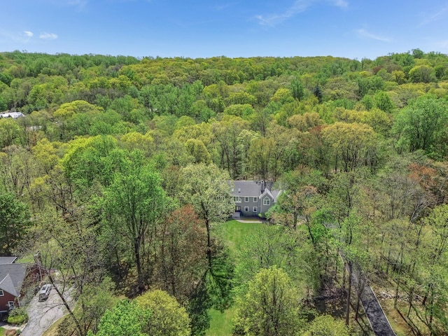 bird's eye view with a forest view