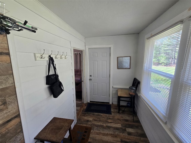 mudroom with dark wood-style floors