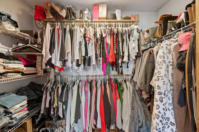 view of walk in closet