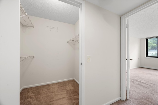 25 Rockledge Ave Unit 601, White Plains, NY 10601 - spacious closet with carpet