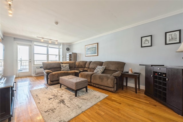living area featuring rail lighting, light wood-style floors, and crown molding