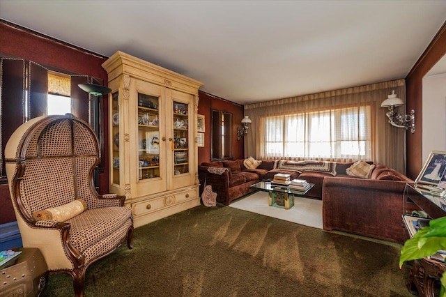 living area featuring carpet