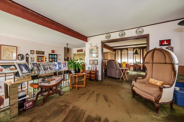 sitting room featuring carpet flooring