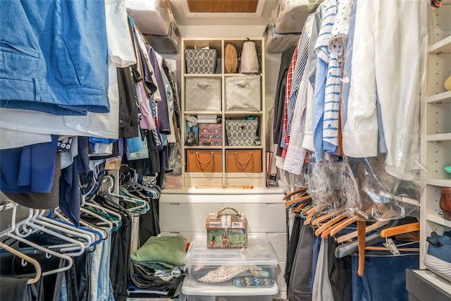 view of spacious closet