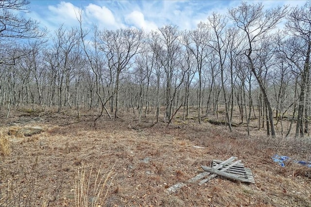 238 Deer Hollow Rd, Poughquag, NY 12570 - view of landscape