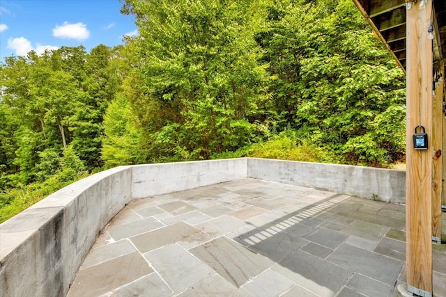 254 Farm To Market Rd, Brewster, NY 10509 - view of patio / terrace
