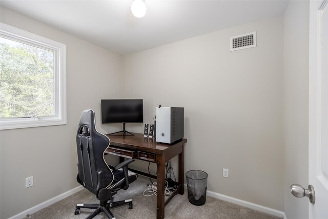 352 Gibbs Pond Rd, Nesconset, NY 11767 - office area with carpet and baseboards