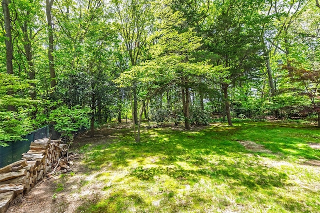 352 Gibbs Pond Rd, Nesconset, NY 11767 - view of yard with a wooded view