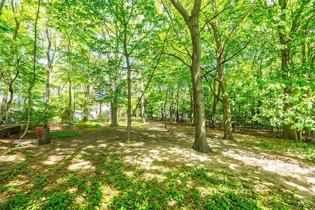 352 Gibbs Pond Rd, Nesconset, NY 11767 - view of yard