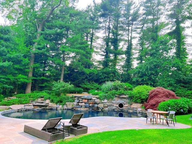 9 Earle Dr, Muttontown, NY 11791 - view of pool featuring a patio
