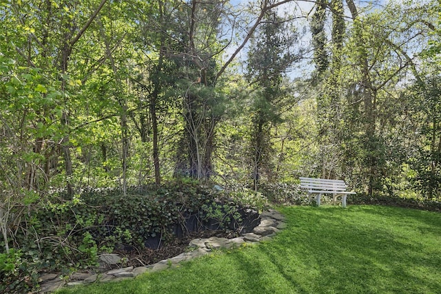 22 Washington Dr, Centerport, NY 11721 - view of grassy yard featuring a view of trees