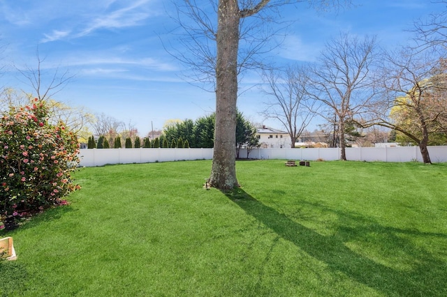 view of yard featuring a fenced backyard