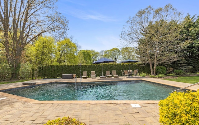view of swimming pool featuring a fenced in pool and a patio