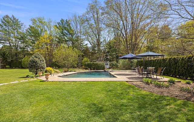 outdoor pool featuring a lawn, a patio, and an outbuilding