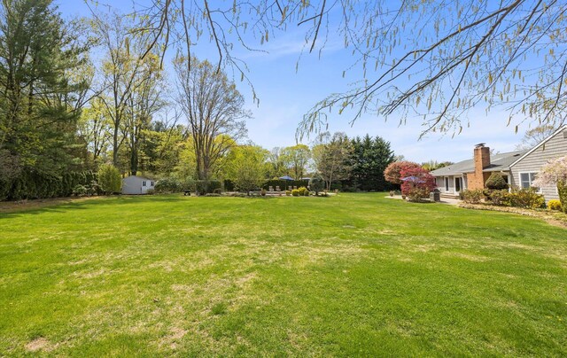view of yard featuring an outdoor structure and a shed