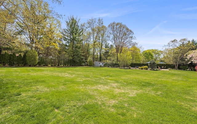 view of yard