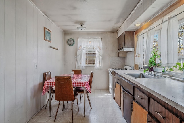 kitchen with a sink, white range with gas stovetop, a healthy amount of sunlight, and light floors